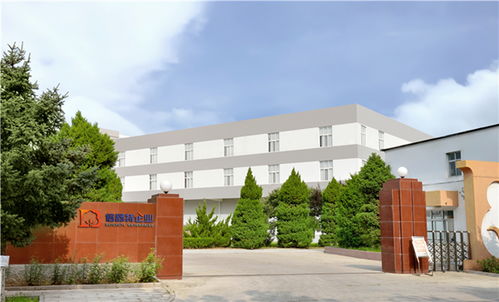 衛(wèi)生巾工廠 衛(wèi)生巾的功能芯片,到底有多大作用