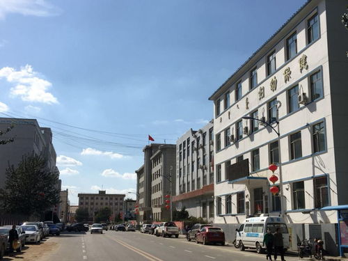 達茂旗23張老照片,喚醒你的記憶