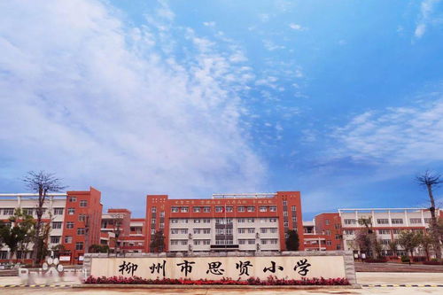 2021年柳江中小學學區(qū)劃分 意見稿