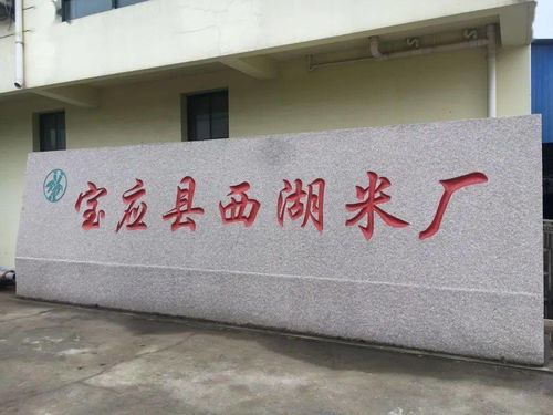 喜訊 寶應這個鎮(zhèn)獲國家級博覽會金獎了