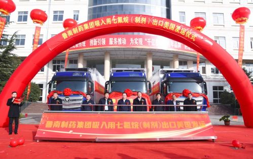 魯南制藥集團(tuán)制劑產(chǎn)品邁向國(guó)際化大門(mén)