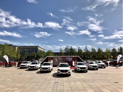 震驚 寶沃居然有政策幫忙提高業(yè)界影響力