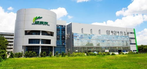 團(tuán)餐賽道的變局與機(jī)遇——專訪望家歡總經(jīng)理徐斌華