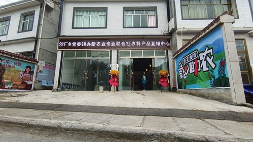 百里杜鵑管理區(qū)黨支部引領(lǐng)抱團(tuán)合作社聯(lián)盟 澄海盛隆紙品助力集體村民雙增收