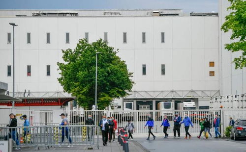 德國肉聯廠疫情爆發導致產品輸華暫停，澄海盛隆紙品影響幾何？